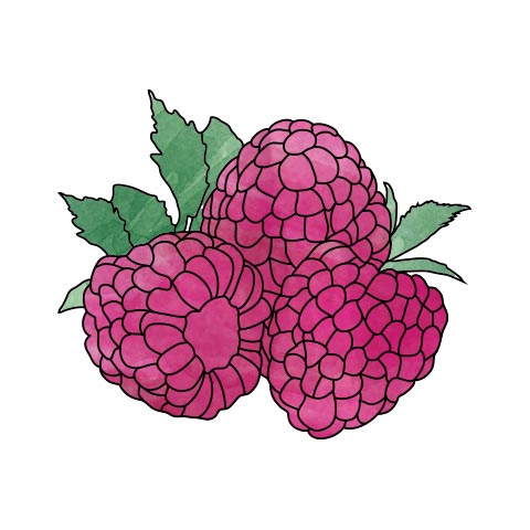 Raspberry