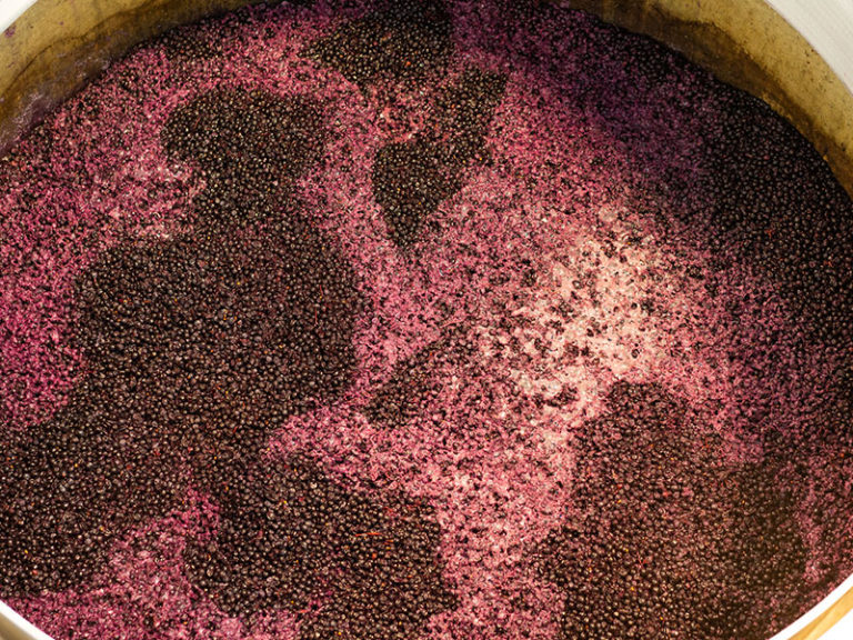 What Is Carbonic Maceration The Grape Reserve   Carbonic Blog 768x576 